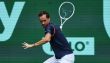 ATP - Halle Daniil Medvedev tient son rang, FAA abandonne, Hurkacz ok