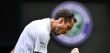 Wimbledon Medvedev rejoint Sinner en quarts, Alcaraz trop fort pour Humbert