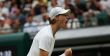 Wimbledon Jannik Sinner peut distancer Alcaraz et Djokovic au classement